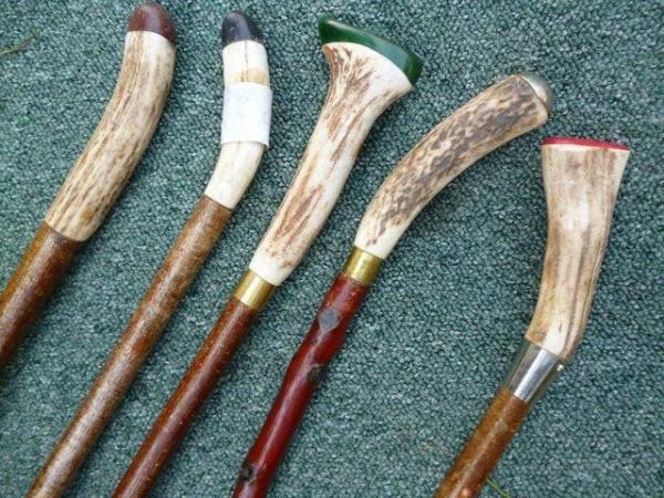 Image 6 of Show canes Handmade in various woods