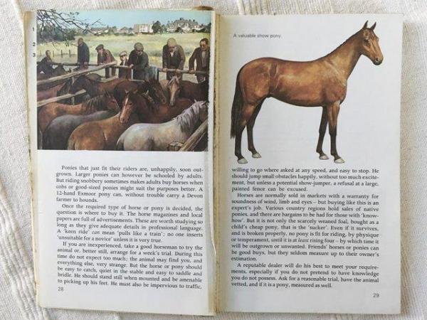 Image 3 of Vintage Horses & Ponies book by Judith Campbell.