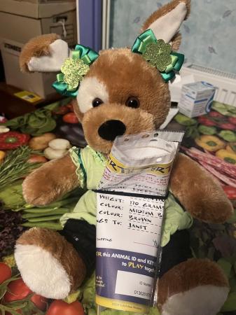 Image 2 of Build a bear lucky pup soft toy