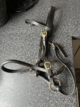 Image 2 of Inhand pony bridle excellent condition