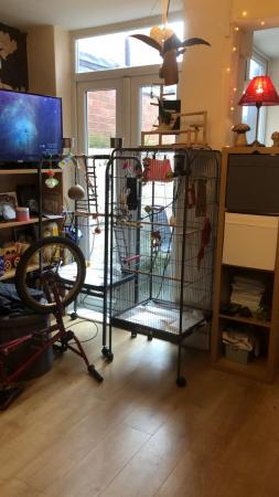 Image 4 of Large bird cage . Excellent condition