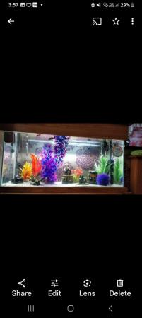 Image 1 of 200litre solid wood fish tank