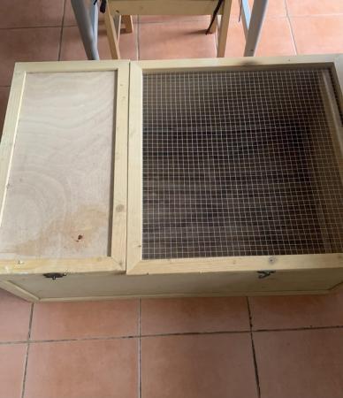 Image 7 of Male Tortoises and table for sale
