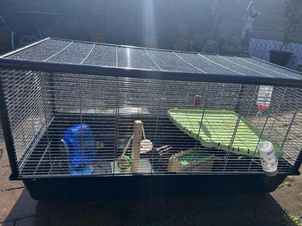 Image 1 of Large hamster/rat cage plus lots of accessories