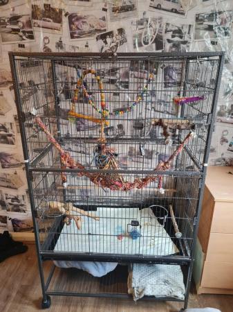 Image 1 of Large bird cage and stand