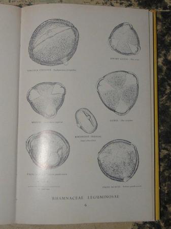 Image 2 of Beekeeping - books - Pollen guides