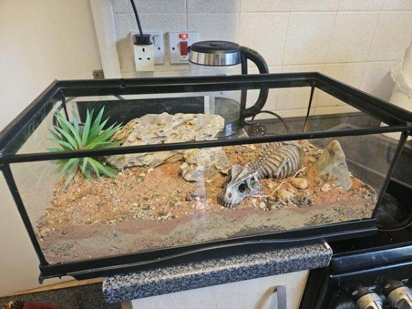 Image 2 of Zoo med glass terrarium,  tarantula  / scorpion