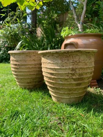 Image 3 of Pair of terracotta plant  pots