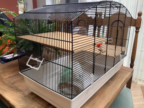Image 2 of Hamster Roborovski/Mini/Dwarf large pet cage