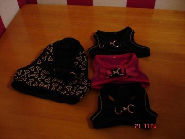 Image 4 of mix coloures dog harnesses all sizes