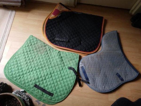 Image 3 of Three saddle-cloths and one body protector