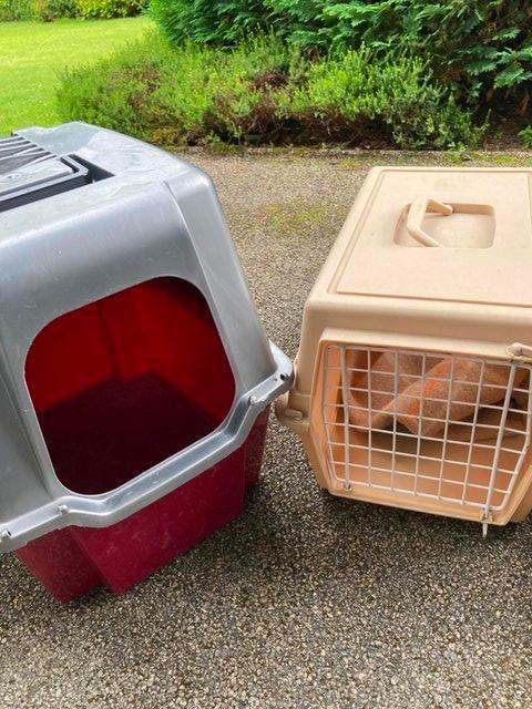 Preview of the first image of Cat accessories, travel carrier, litter trays, scoops etc.