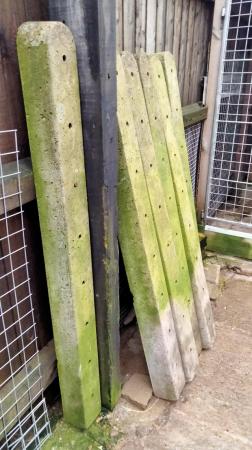 Image 3 of For sale six concrete fence posts, four foot long and four i