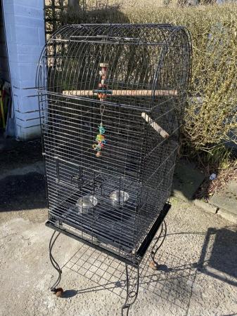 Image 2 of Birdcage for parrot or any birds