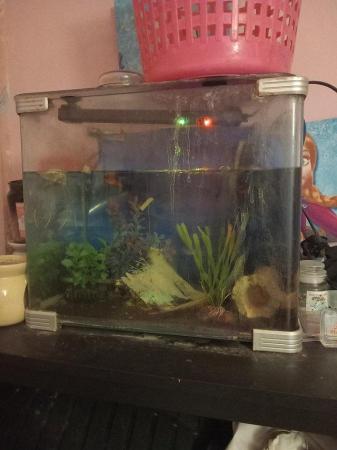 Image 3 of Fish tank with accessories for sale