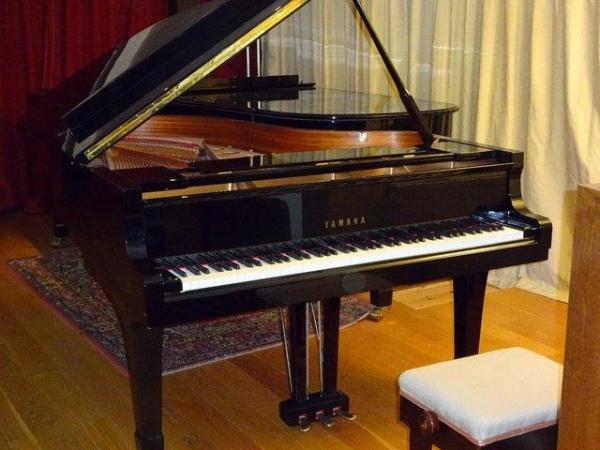 Image 2 of SUBERB YAMAHA GRAND PIANO MODEL C5