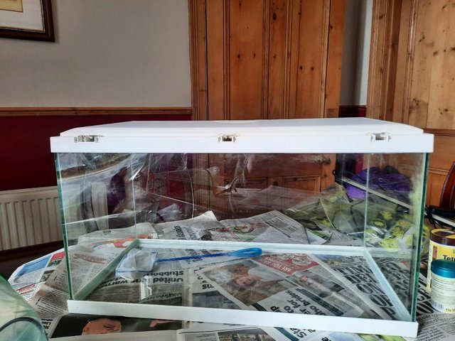 Preview of the first image of 50 LTR Fish Tank with Lights and Filter.