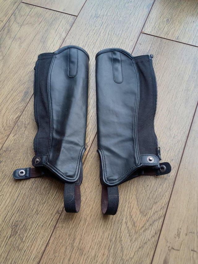 Preview of the first image of Child's large shires riding chaps.