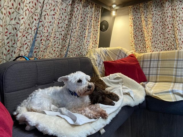 Preview of the first image of Coachman Lusso, full set of Voyage Maison curtains.