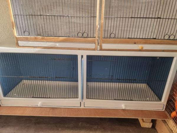 Image 5 of Birds cages for small birds ??  all good condition quick sal
