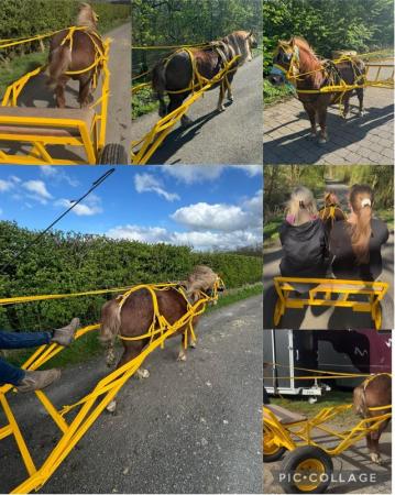 Image 1 of Pony Driving Cart and Harness