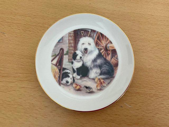 Preview of the first image of Old English sheepdog ornamental plate.
