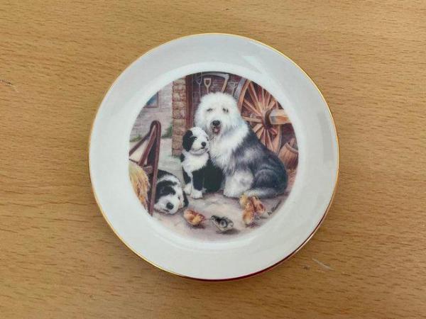 Image 1 of Old English sheepdog ornamental plate