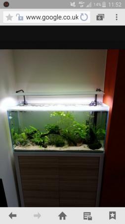 Image 3 of Fluval aquarium fish tank