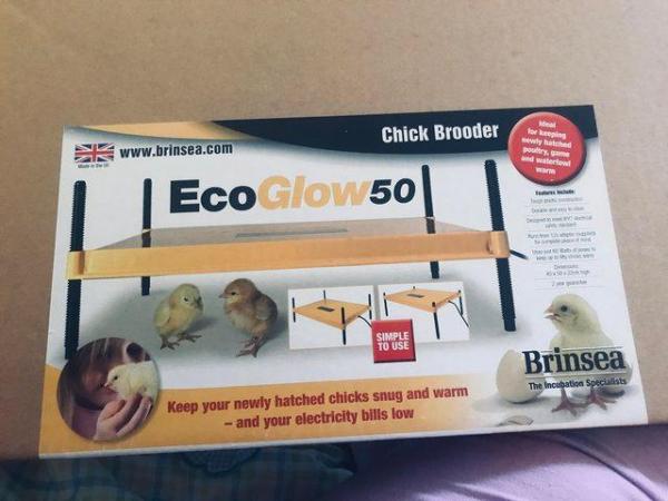 Image 2 of Chick Brooder Bran New Eco Glow 50 for sale in sealed boxes