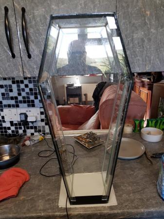 Image 2 of Glass coffin terrarium for sale