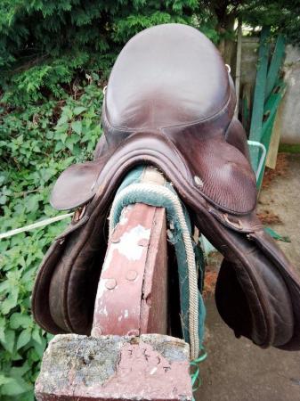 Image 2 of 16.5" English leather pony saddle
