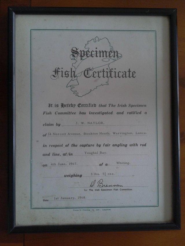 Preview of the first image of Rare..The Irish Specimen Fish Committee Framed Certificate.