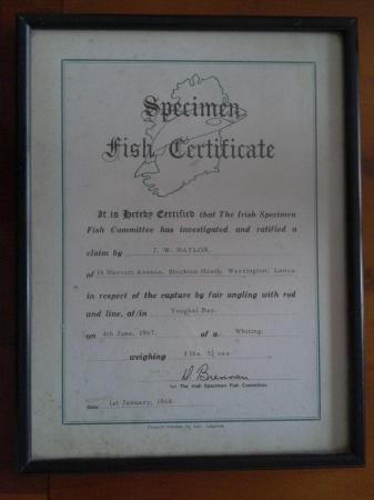 Image 1 of Rare..The Irish Specimen Fish Committee Framed Certificate