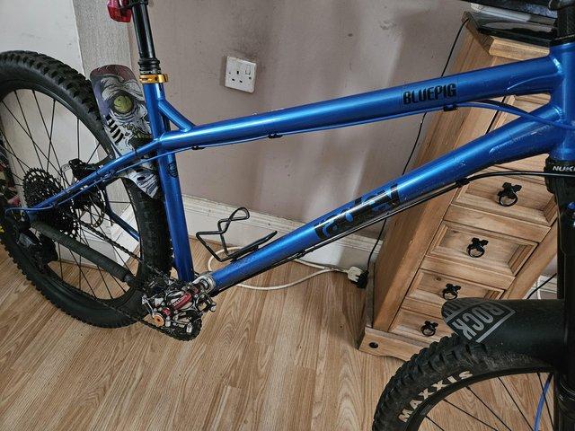Preview of the first image of Ragley bluepig 27.5 large.