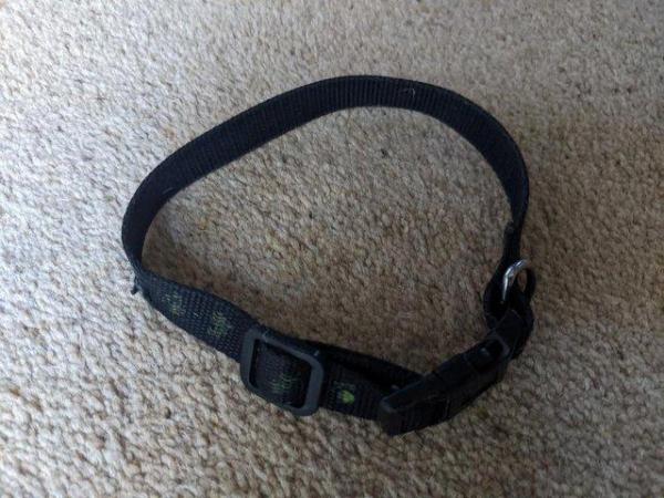 Image 2 of Collar for Puppies or small dog - adjustable
