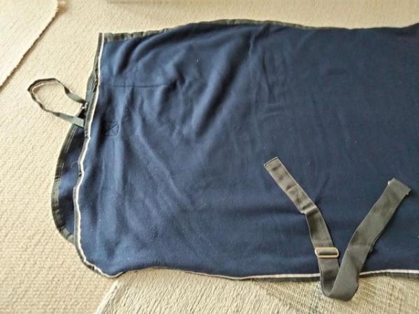 Image 2 of Masta pony 5' 3" blue fleece rug