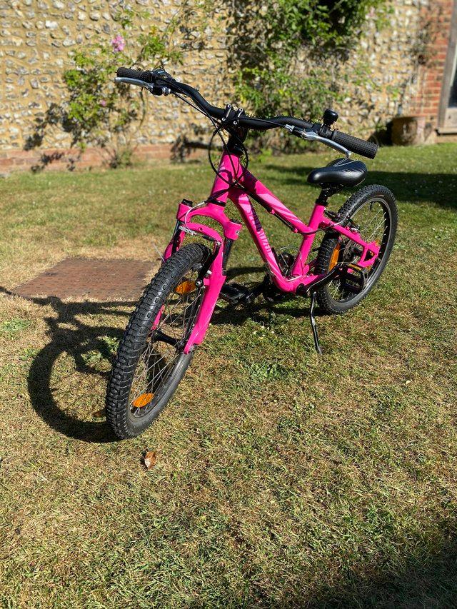 Specialized mountain bike in pink - £100 ono