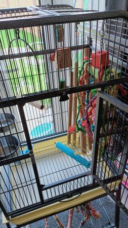 Image 4 of Parrot cage with accessories & toys