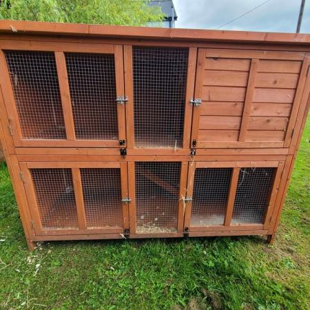 Image 4 of Bluebell 5' hideaway rabbit guinea pig hutch