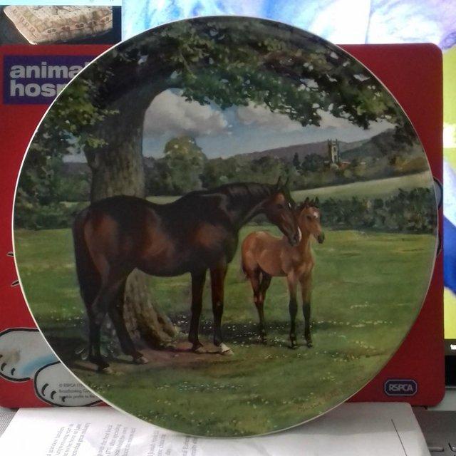 Preview of the first image of Plate from the Noble Horse set.