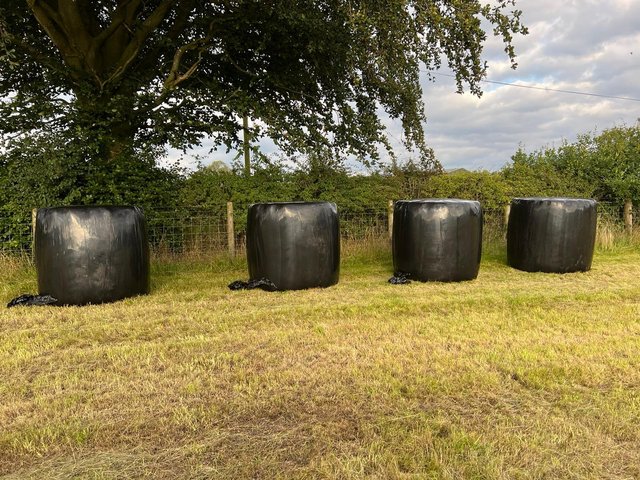Preview of the first image of Haylage round bales for sale.