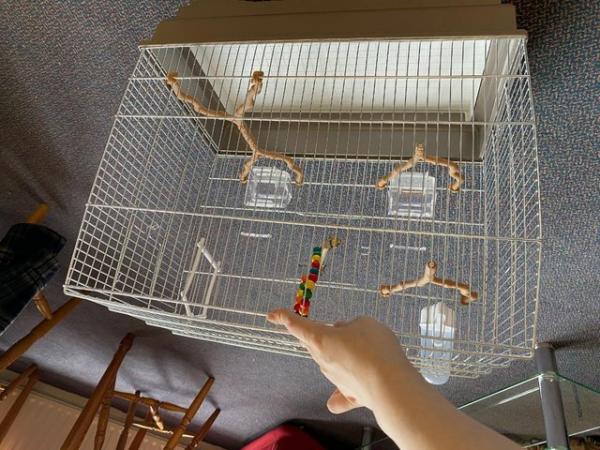 Image 2 of New large bird cage for sale