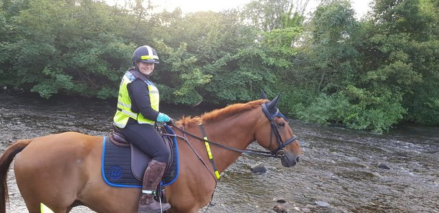 Image 25 of 17hh Irish sports horse gelding for part-loan