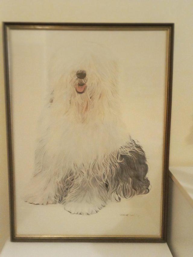 Lovely framed print of an Old English Sheep Dog — Hobbies & Crafts in Braintree
