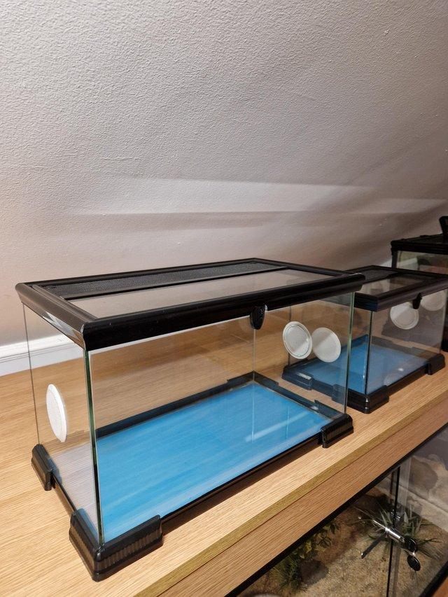 Preview of the first image of 3 glass vivarium terrarium tanks with vents.