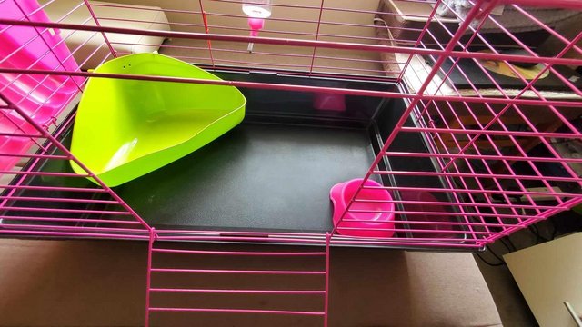 Image 6 of Small pet cage (not suitable for hamsters)
