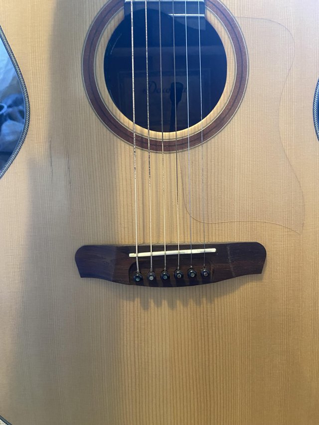 Preview of the first image of Dowina Arbor GACE model. Spruce top, rosewood back and sides.