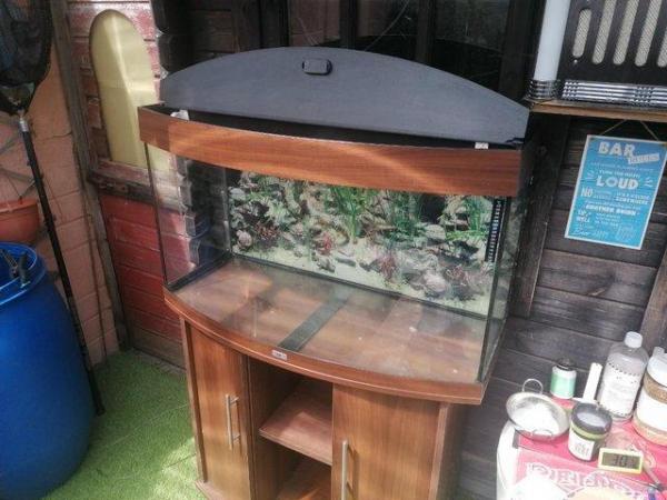 Image 2 of LARGE CURVED FRONT FISH TANK WITH CABINET