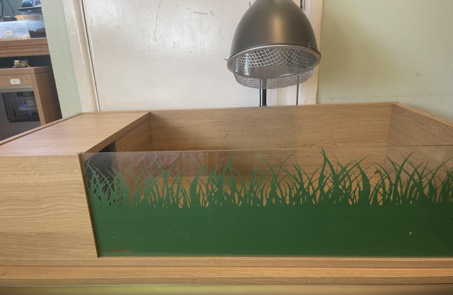 Image 4 of Tortoise table (pick up only)