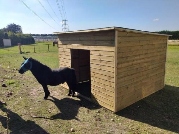 Image 1 of 7ft x 5ft x 5'6'' field pony shelter